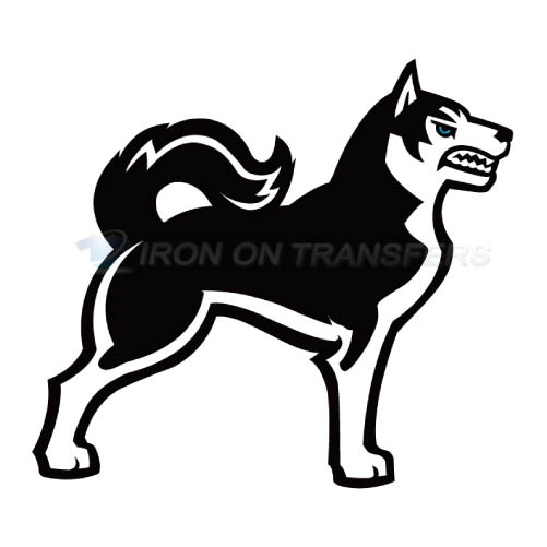 Northeastern Huskies Iron-on Stickers (Heat Transfers)NO.5637